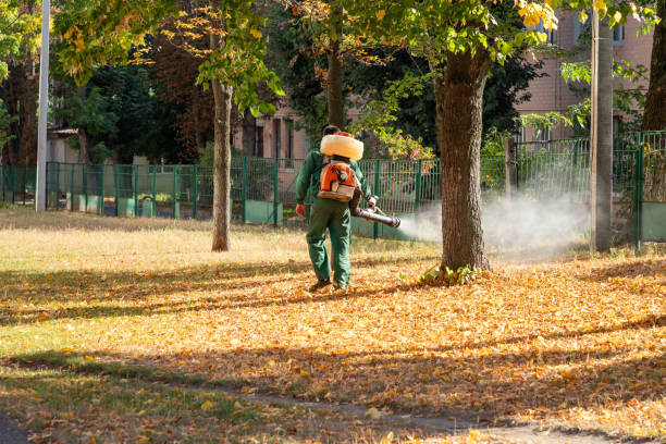 Best Local Pest Control Services  in Ship Bottom, NJ